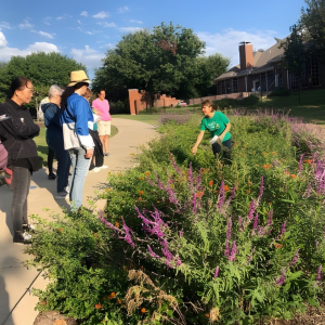 Spring Pollinator Walk homepage