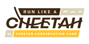 Run (or Walk) Like a Cheetah home