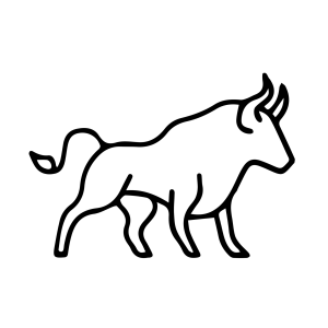 Sasha & Jay Lin's 5K Bull Run logo