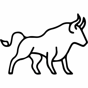 Alexander & Jay Lin's 5K Bull Run logo