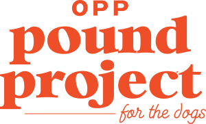 1st Annual Tails & Trails 5k Fun Run logo