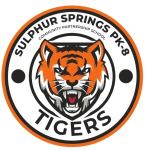 Sulphur Springs YMCA Family Fun Color Run logo