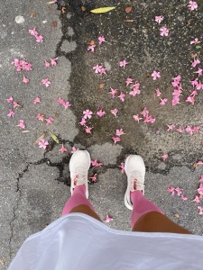 Flora Fiesta Night Run logo