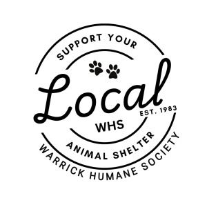 Snout About Scavenger Hunt homepage