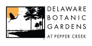 Spring Perennial Planter Demonstration homepage