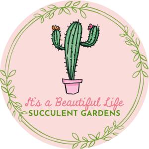 Summer Succulent Arrangement & Garden Tea Party homepage