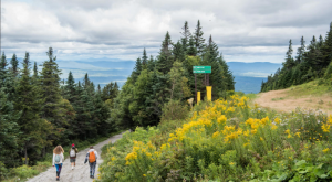 Free Hike with a Guide