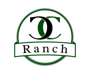 Cross Creek Ranch Firework Show homepage