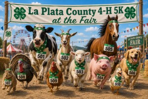 5K at the Fair homepage