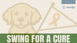 Swing for a Cure homepage