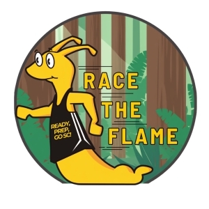 Race The Flame home