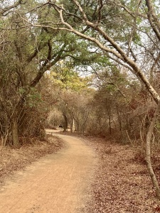 Triple Sahel Challenge homepage