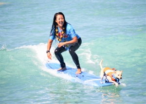 2026 Going to the Dogs SurFur ComPETition - Tandem Classic homepage