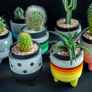 Succulent Painting and Planting homepage