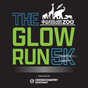 The Glow Run at Cleveland Metroparks Zoo presented by CrossCountry Mortgage homepage
