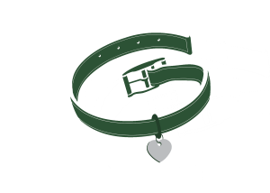 Love Story: A Taylor Tribute Concert Benefitting The Greenville Humane Society homepage