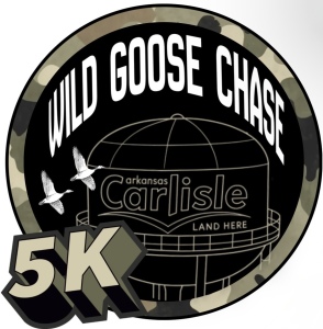 Wild Goose Chase 5K homepage