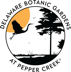 Sunset Sound Bath homepage
