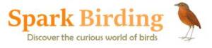 Shorebirds and Fall Migration at Plum Island with Peter Alden homepage