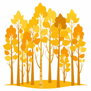 Fall Foliage Fun Run logo