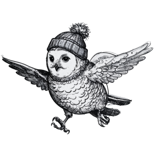 Snowy Owl Trail Race