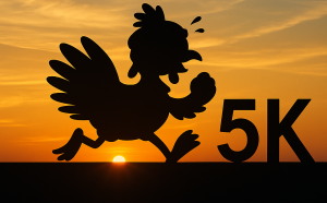 Duck Key Turkey Trot 5k Run/Walk
