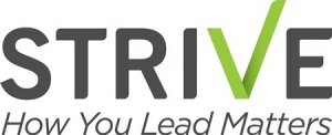 Strive V30