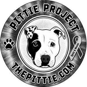 2027 Love for Pitties Valentine's Bash Gift Auction homepage
