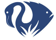 BZS Polar Plunge