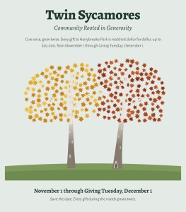 Twin Sycamores homepage