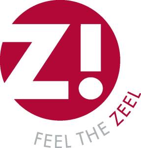 Zeeland Zoom 5k logo