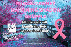 PUNXSUTAWNEY MAHONING SHADOW SHUFFLE logo