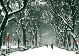 2025 NYC Holiday Classic produced by Mile Square Consulting home