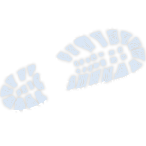 Stampede In The Park 5K and Fun Run home