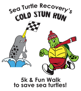 Sea Turtle Race: Cold Stun Run