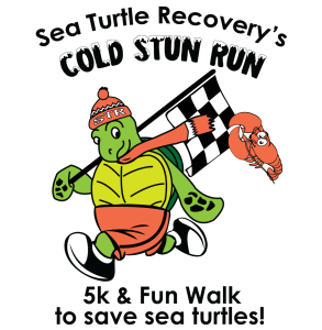 Sea Turtle Race: Cold Stun Run