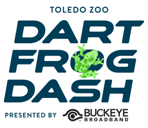 Toledo Zoo Dart Frog Dash presented by Buckeye Broadband homepage