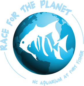 Race for the Planet logo