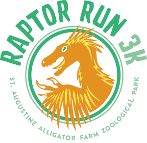 RAPTOR RUN 3K logo