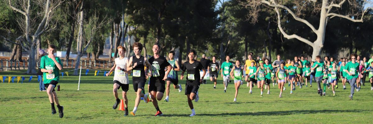 REACH Foundation Shamrock 'n Run, photo 2 of 2