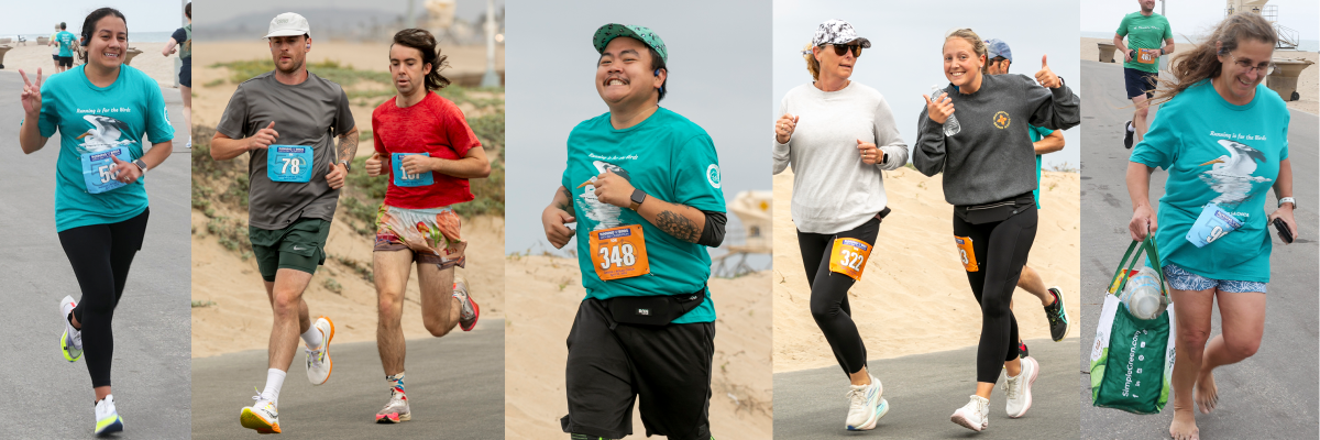 Photos of runners & plogger