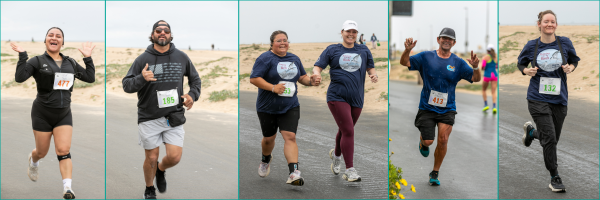 Running Is For The Birds - 5K, 10K, Kids Run & Walk - Earth Day Celebration banner