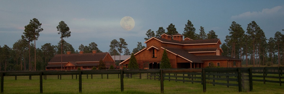 Aiken Trailblazer at Stable View