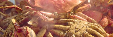 The Dungeness Crab Festival