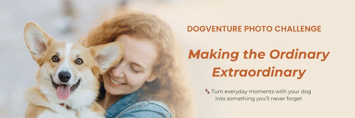 Dogventure Photo Challenge