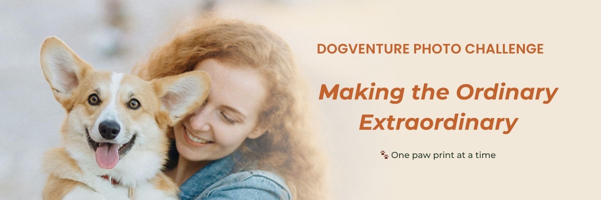 Dogventure Photo Challenge