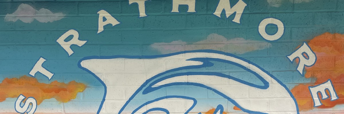 Dolphin Dash 5K & 1 Mile Fun Run/Walk