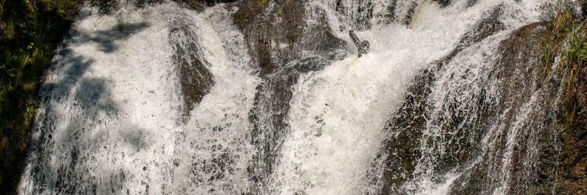 Water rushing over a rocky outcropping in a lush forest setting