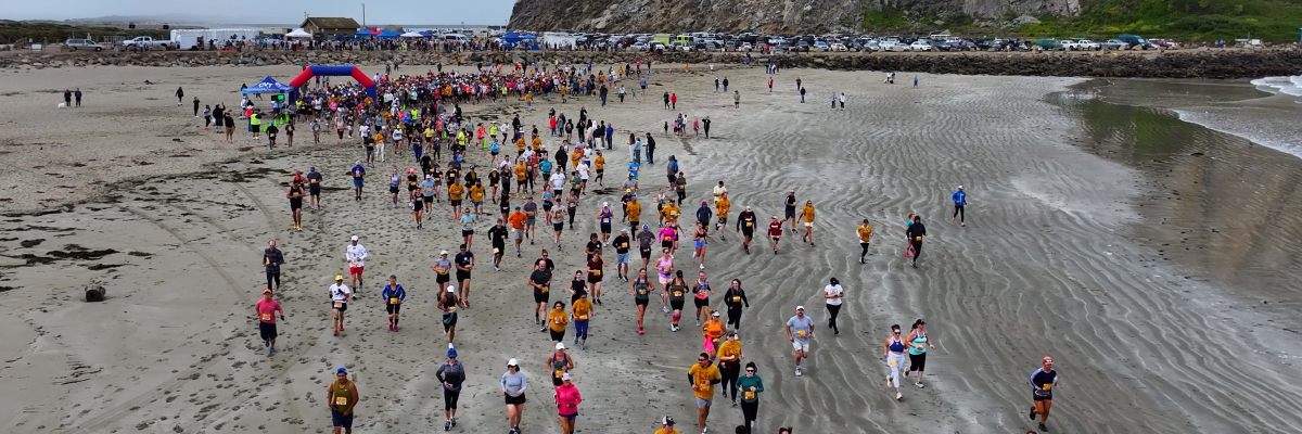 Brian Waterbury Memorial Rock to Pier Run banner