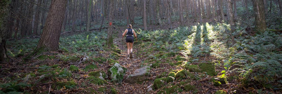 Black Forest Ultra 100k banner